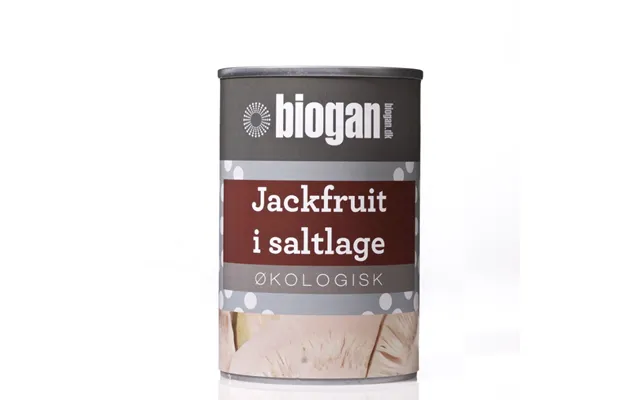 Biogan - Økologisk Jackfruit I Saltlage