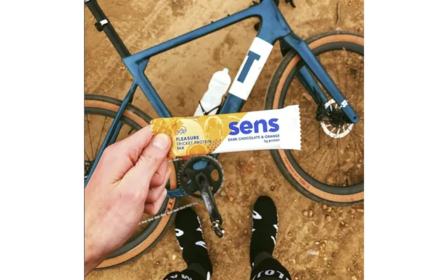 Sens - Cricket Protein Bar