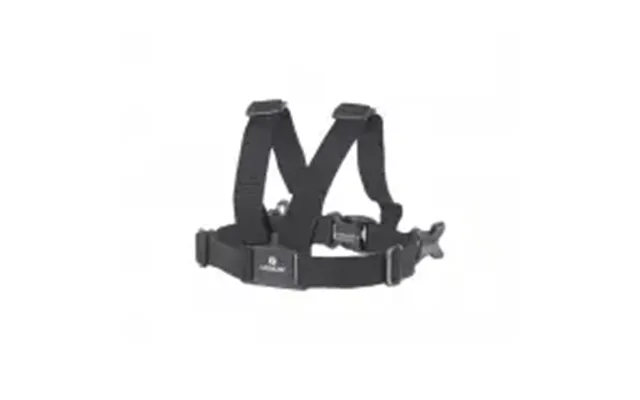 Littlelife Toddler Reins, Basic - Diverse