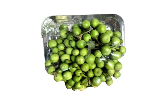 Auberginer Ærter Solanum Torvum 100 G. - Frugt Og Grønt