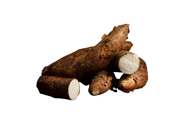 Cassava Yuca Rodknold 2 Kg. Manihot Esculenta - Frugt Og Grønt