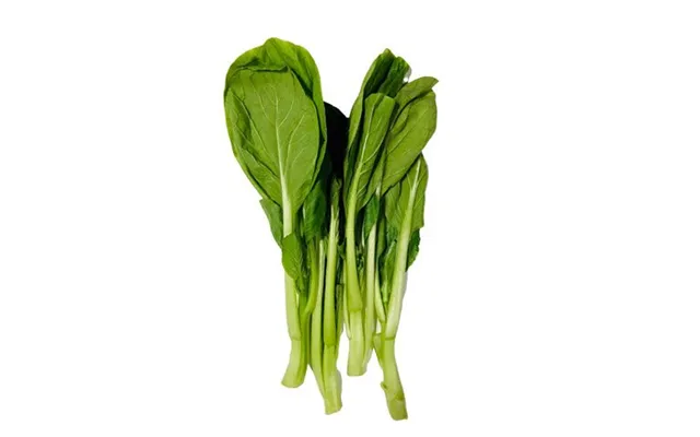 Choi Sam Guangdong Kål 500 G. - Frugt Og Grønt