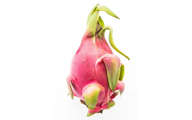 Dragefrugt Dragonfruit Pitaya 400-500 G. - Frugt Og Grønt