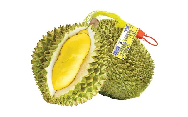 Durian Frugt Frost 1,5-2,5 Kg. - Frugt Og Grønt På Frost