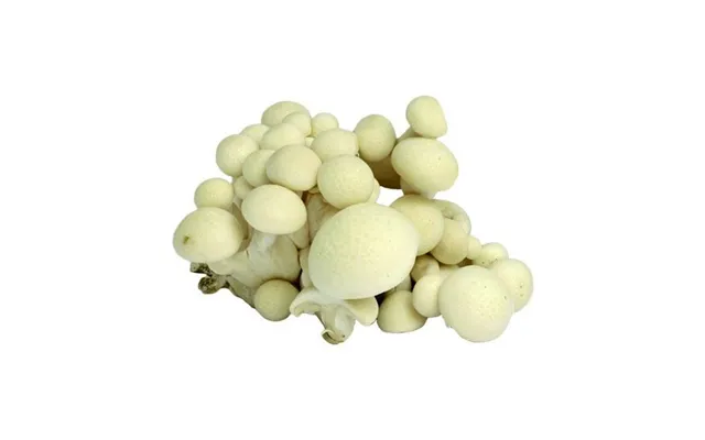 Hvid Hon Shimeji Svampe White Beech Bøgehatte 150 G. - Frugt Og Grønt