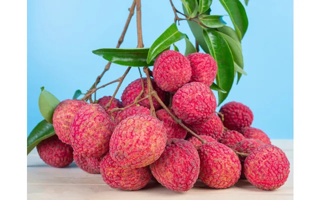 Lychee Frisk Xl 500 G. - Frugt Og Grønt
