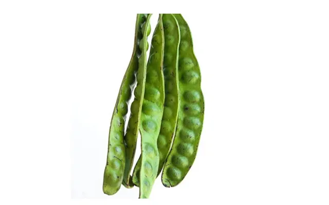 Sator Bønne Thai Parkia Speciosa 200 G. - Frugt Og Grønt