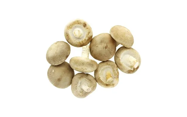 Shiitake Svampe Frisk Het Hom 200 G. - Frugt Og Grønt