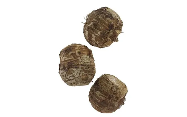 Taro Rod Frisk 500 G. Tallas - Colocasia Esculenta