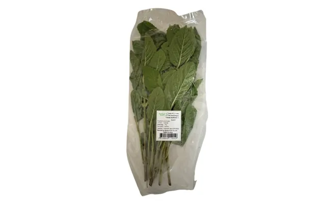 Thai Holy Basil Hellig Basilikum 70 G. - Frugt Og Grønt