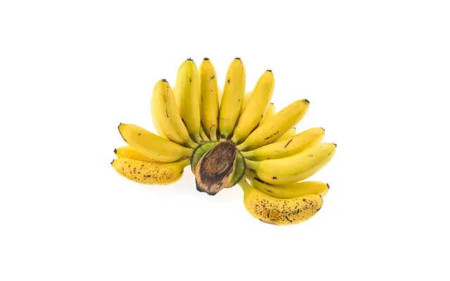 Thai Lady Finger Bananer 900-1000 G. - Frugt Og Grønt