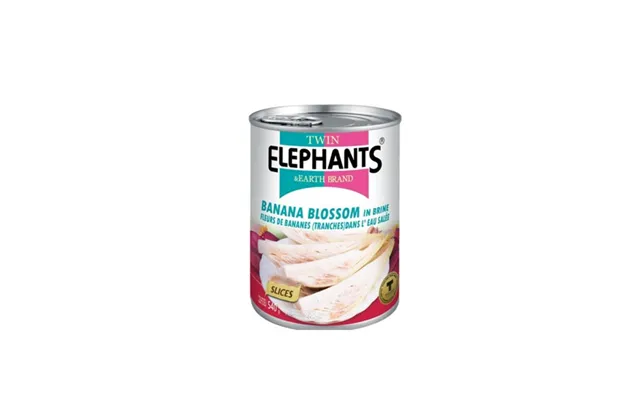 Twin Elephants Banana Blossom 540 G. - Grønt Og Frugt På Glas Og Dåse