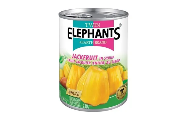 Twin Elephants Jackfruit I Syrup 565 G. - Grønt Og Frugt På Glas Og Dåse