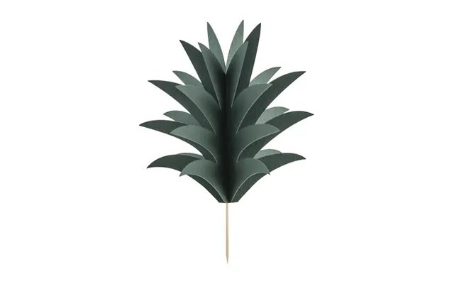 Hawaii Ananas Toppers X6