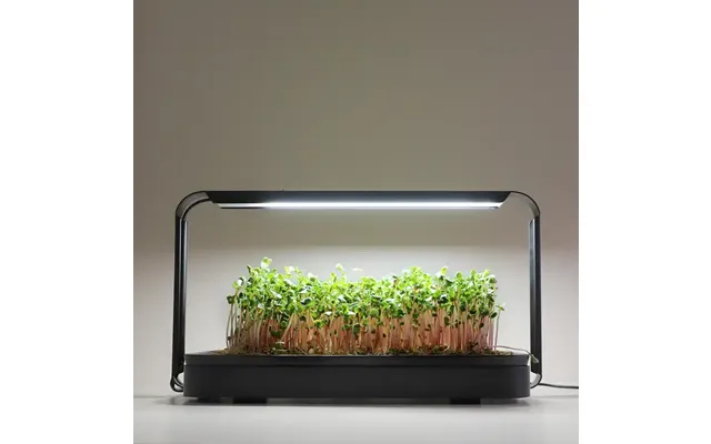 Microgreen Garden Startsæt Til Dyrkning Af Mikrogrønt