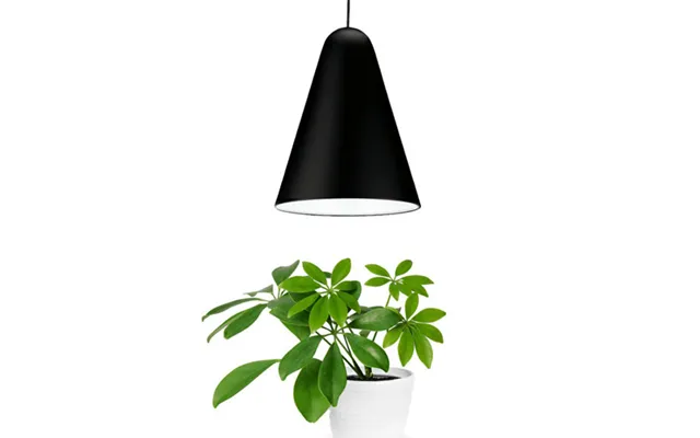 Plantespire Pendel M. 5000-6500k Hvidt Led Lys