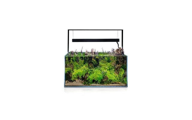 Aquael Ultrascape 243l Forest