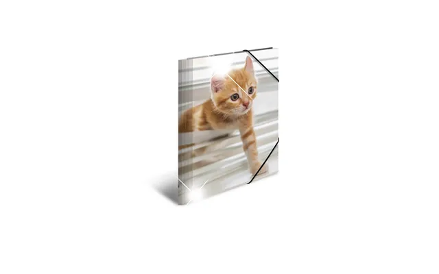 Herma Elasticated Folder Glossy Animals A4 Pp Cats