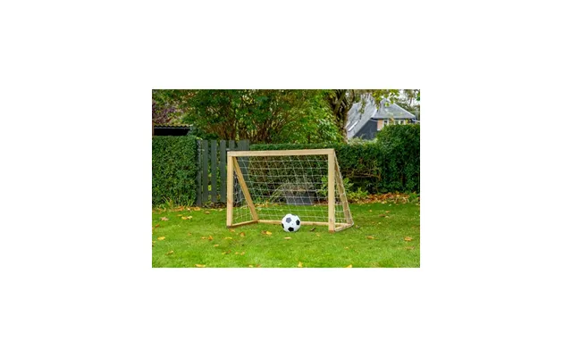 Home Goal Classic Micro