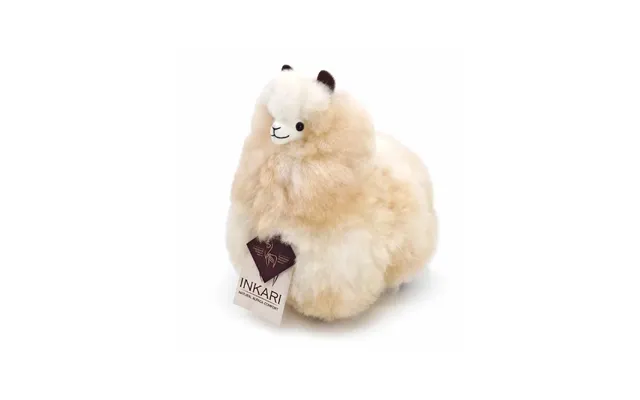 Inkari Alpacas Alpaca Sahara - Lille