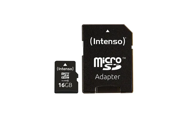 Intenso Microsd Class 10 - 20mb S
