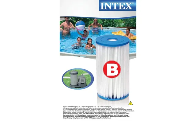 Intex Filterpatron B