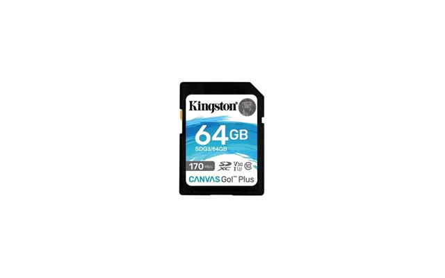 Kingston Canvas Go Plus Sd - 170mb S