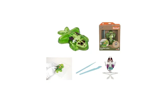 Simba Scout Dissect-it Frog