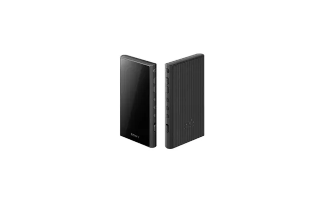 Sony Walkman Nw-a306 - Black