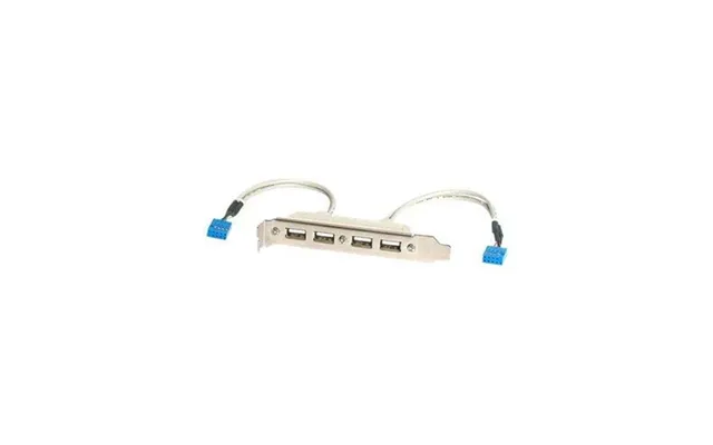 Startech.com 4 Port Usb A Female Slot Plate Adapter