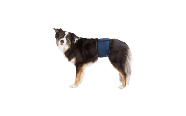 Trixie Washable Nappies For Male Dogs Xl Waist 65-75cm
