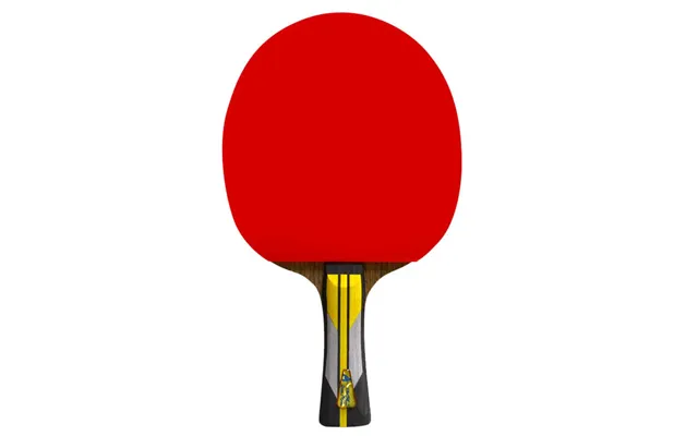 Double Fish 6a Bordtennisbat