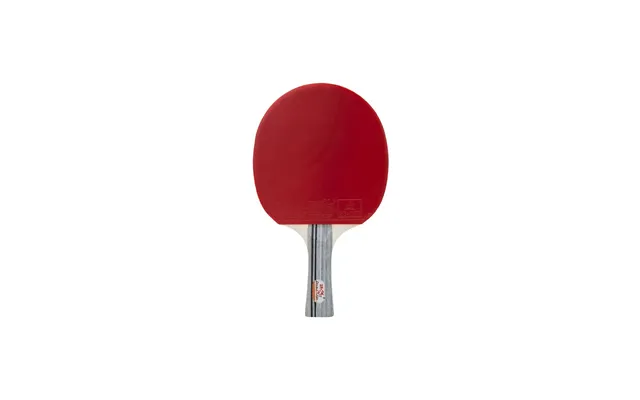 Double Fish Df-01 Bordtennisbat