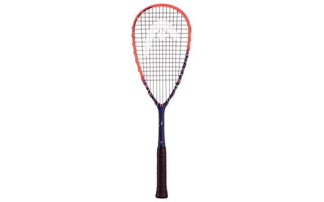 Head Cyber Tour 2024 Squashketcher
