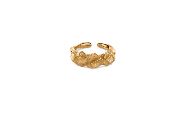 Émoire Ring - Adjustable Rahström 18k Gold