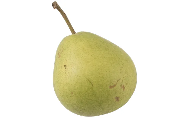 Clara Frijs Pærer