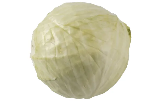 Hvidkål