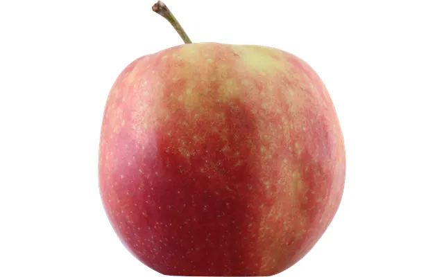 Jonagored Æbler