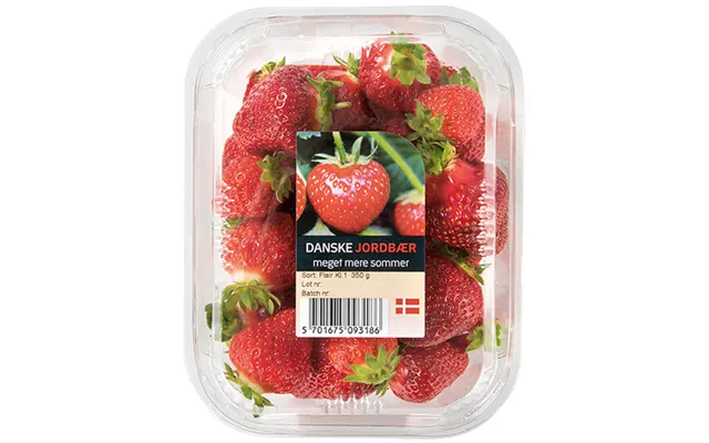 Jordbær