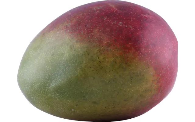 Mango Formodnet