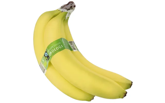 Øko. Bananer Fairtrade