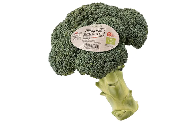 Øko. Broccoli