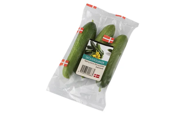 Skoleagurker