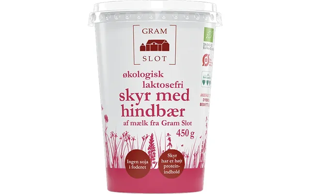 Skyr Hindbær