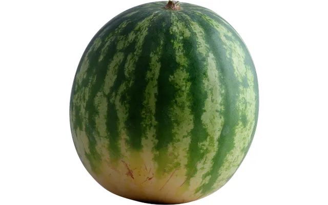 Vandmelon