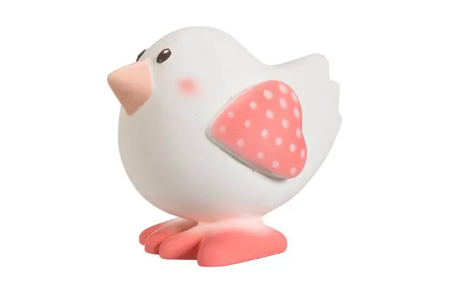 Vulli Fuglen Kiwi