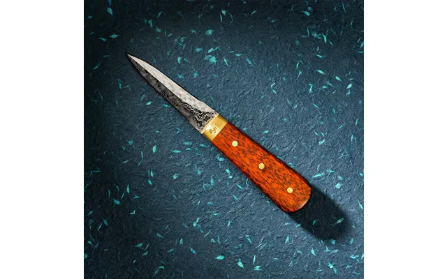 Østerskniv I Damaskusstål Med Håndtag I Snakewood