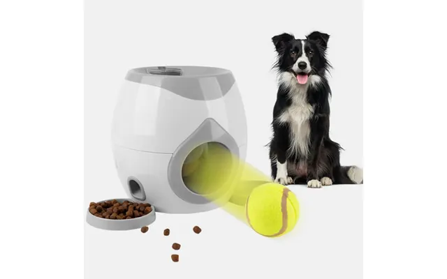 Godbid Og Bolddispenser Til Hund