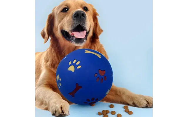 Hunde Aktivitetsbold - Til Glæde Og Gavn For Din Hund