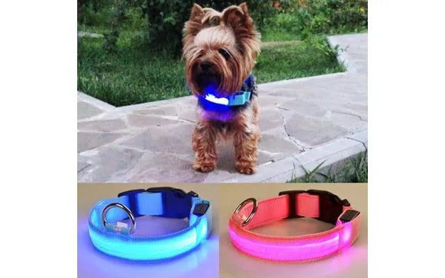 Hundehalsbånd Med Led-lys - Pink